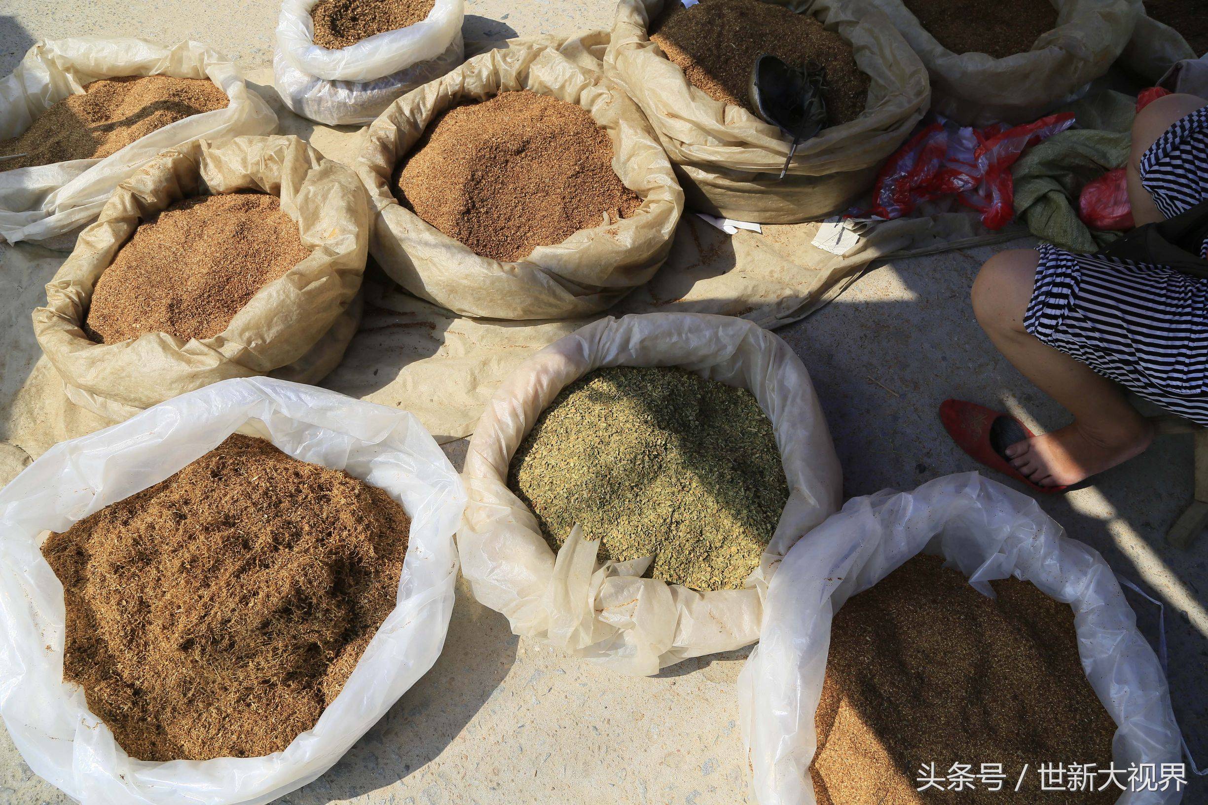 卖烟叶的女人说,看到他们年龄大了,有时候不由自主会多给一些