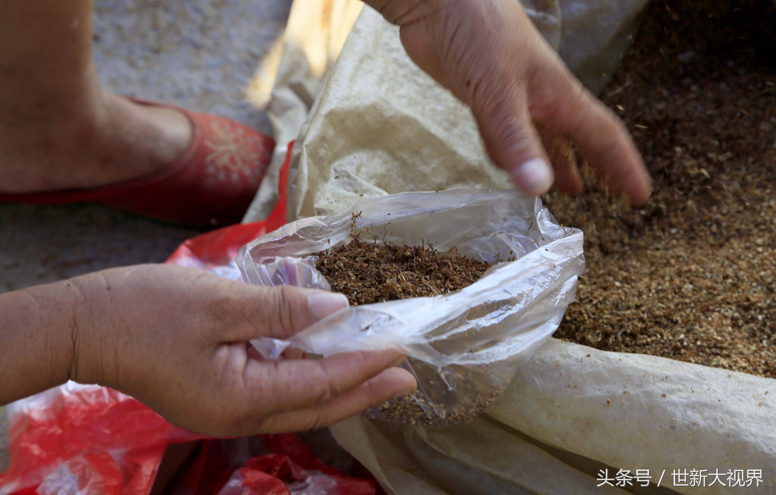 卖烟叶的女人说,看到他们年龄大了,有时候不由自主会多给一些