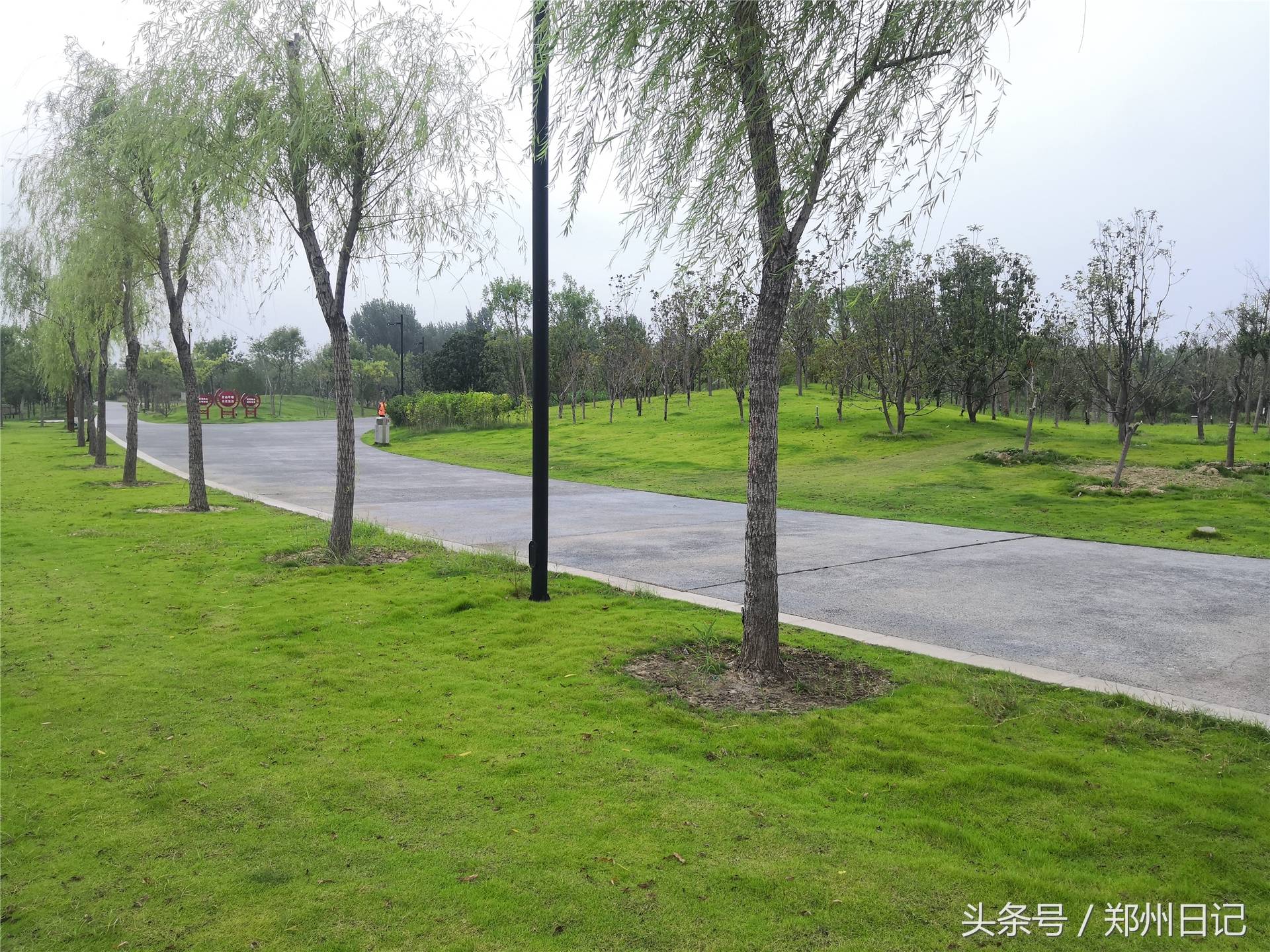 在郑州难得周末,想找个免费又安静的地方?这里是一个不错的选择