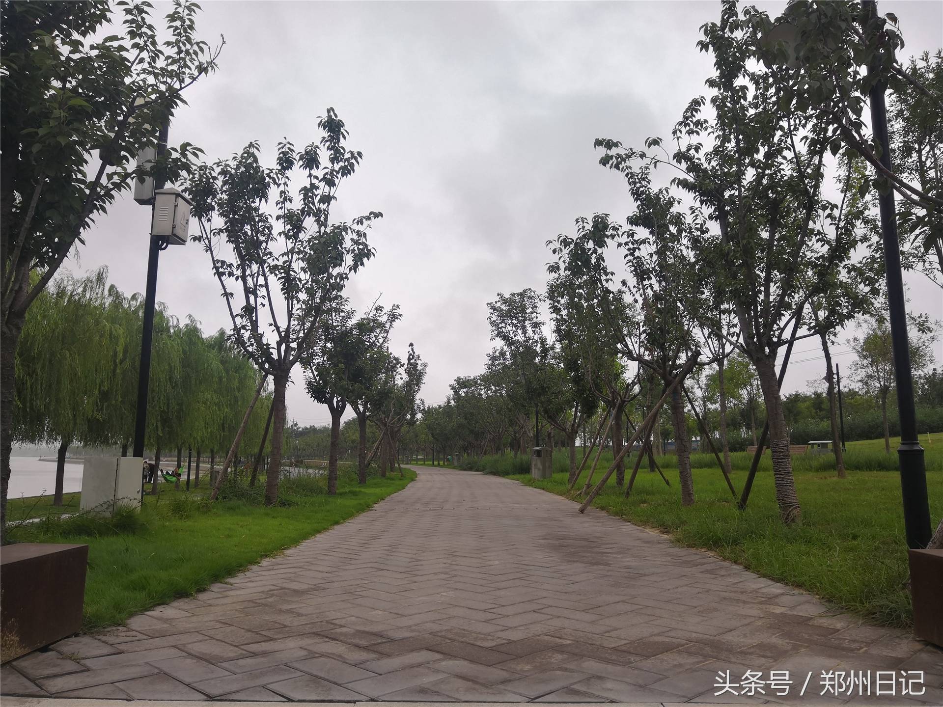 在郑州难得周末,想找个免费又安静的地方?这里是一个不错的选择