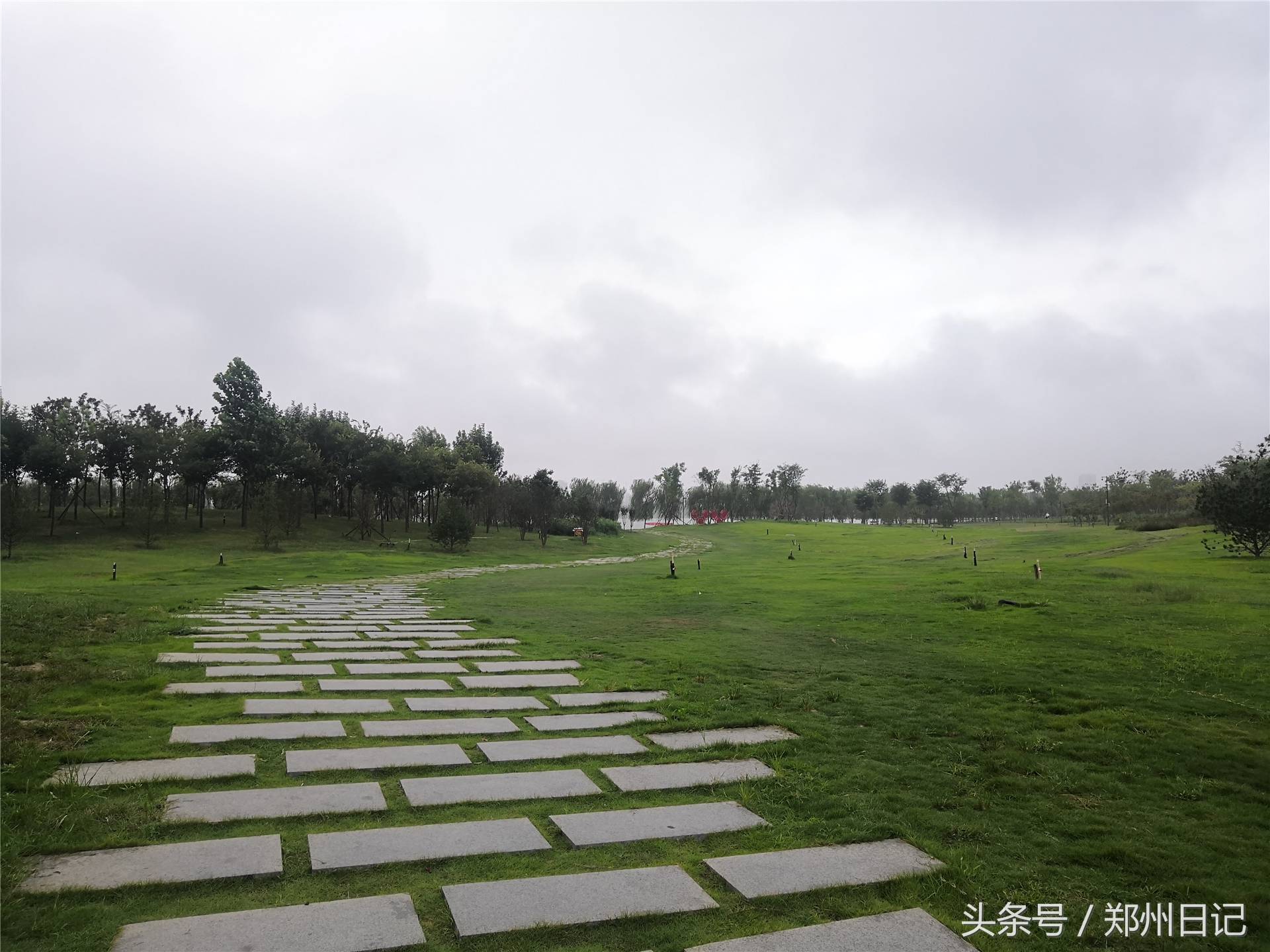 在郑州难得周末,想找个免费又安静的地方?这里是一个不错的选择