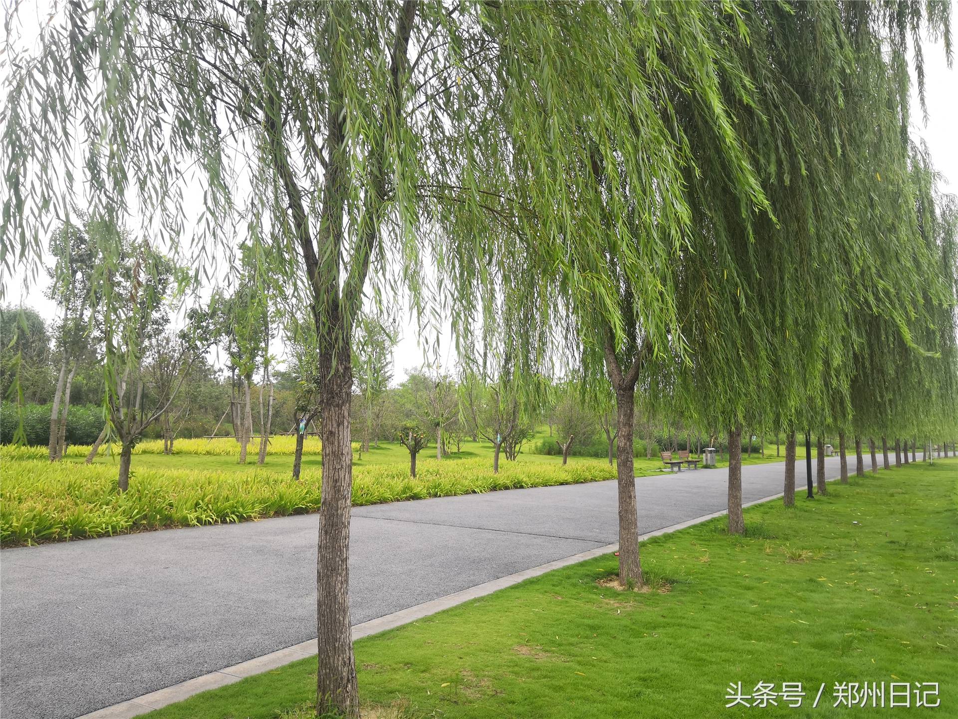 在郑州难得周末,想找个免费又安静的地方?这里是一个不错的选择