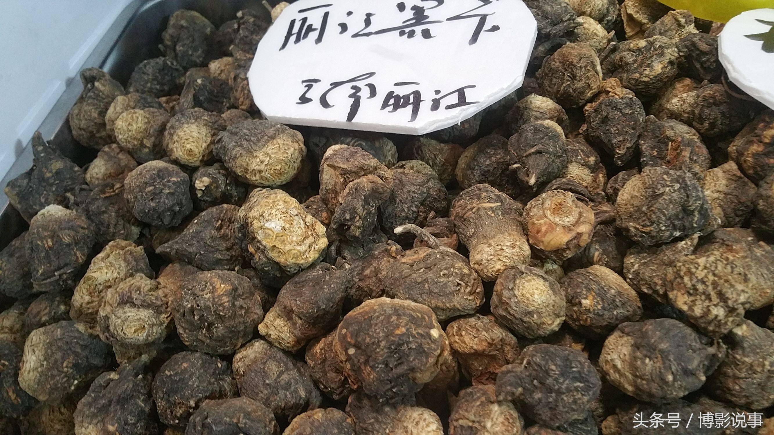 展会上的玛咖,年轻人喜欢买,国内产的一斤100,进口的200