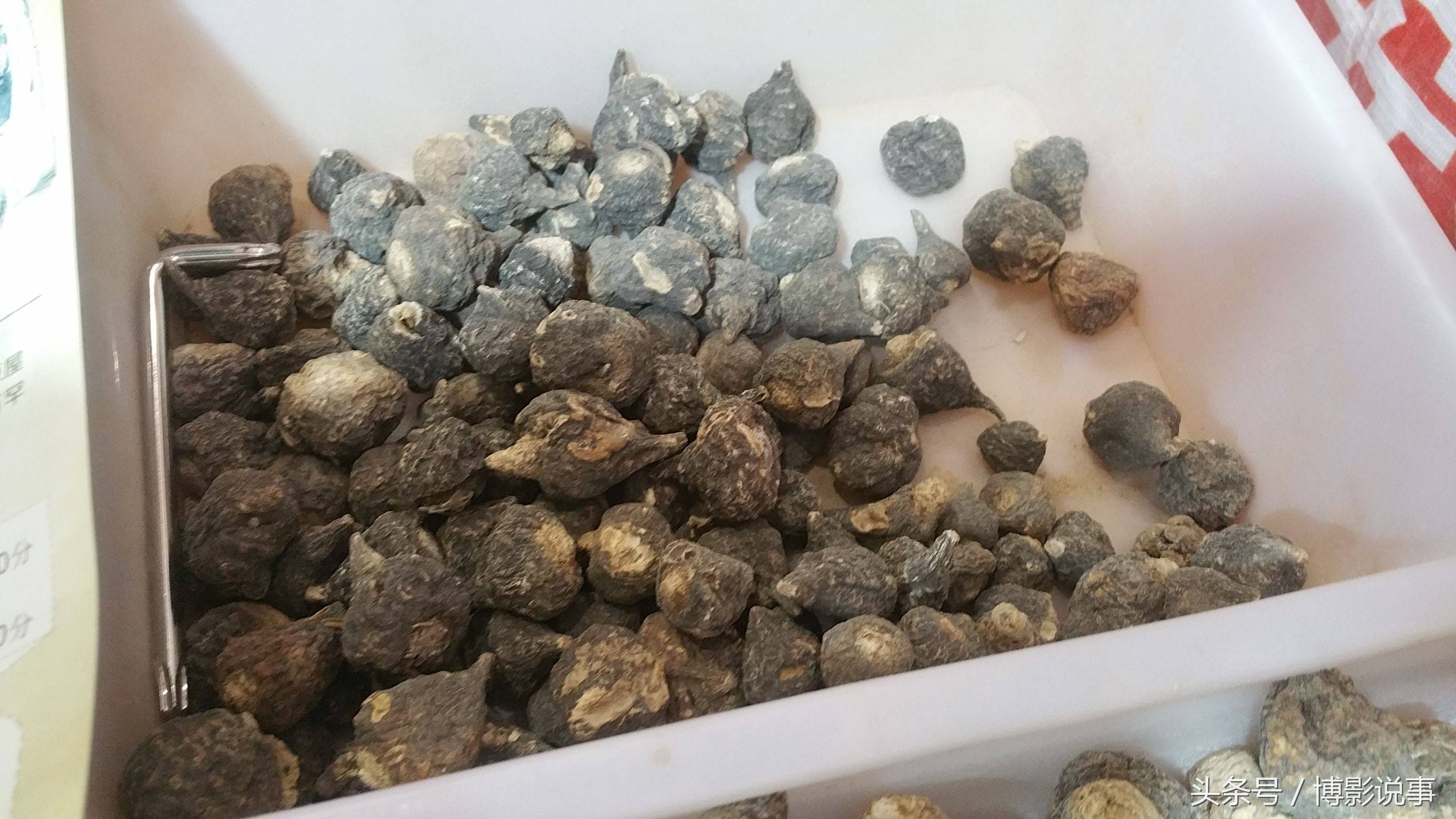展会上的玛咖,年轻人喜欢买,国内产的一斤100,进口的200
