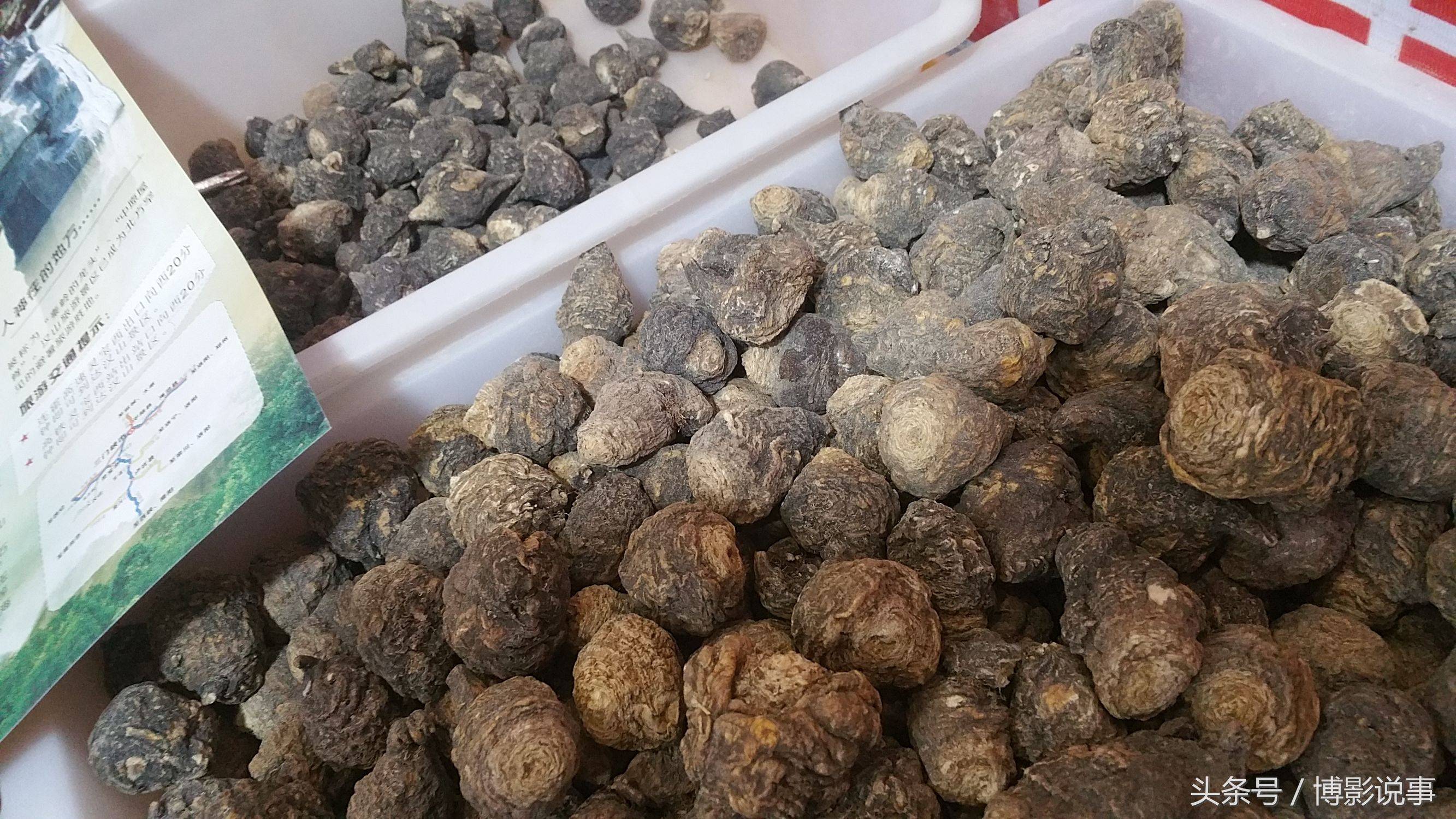展会上的玛咖,年轻人喜欢买,国内产的一斤100,进口的200