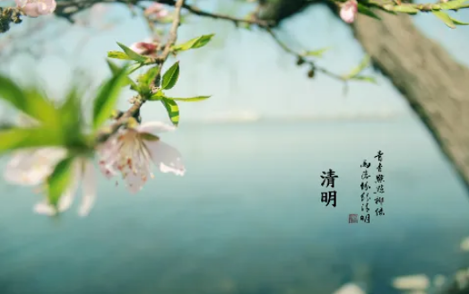 2022清明节几月几日哪个时辰是清明节1