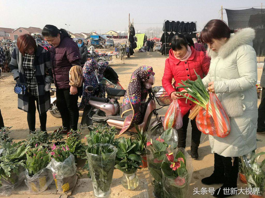 这两盆海棠简直美爆了 摊主说,小本小利,二十二元,不还价