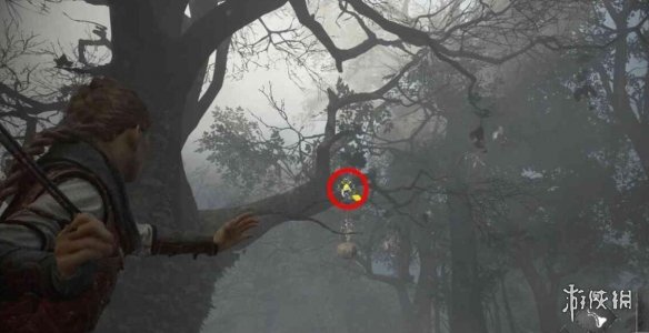 瘟疫传说安魂曲雨果的花在哪-药师成就收集攻略