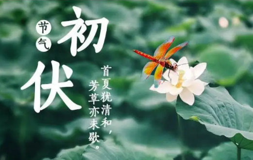 2022年初伏是7月几号1