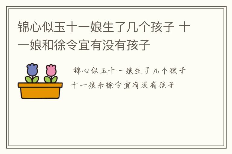 锦心似玉十一娘生了几个孩子 十一娘和徐令宜有没有孩子