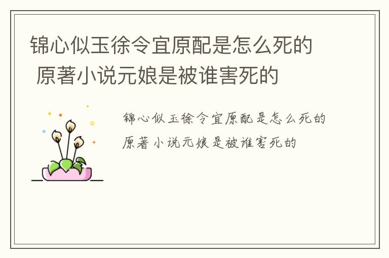 锦心似玉徐令宜原配是怎么死的 原著小说元娘是被谁害死的