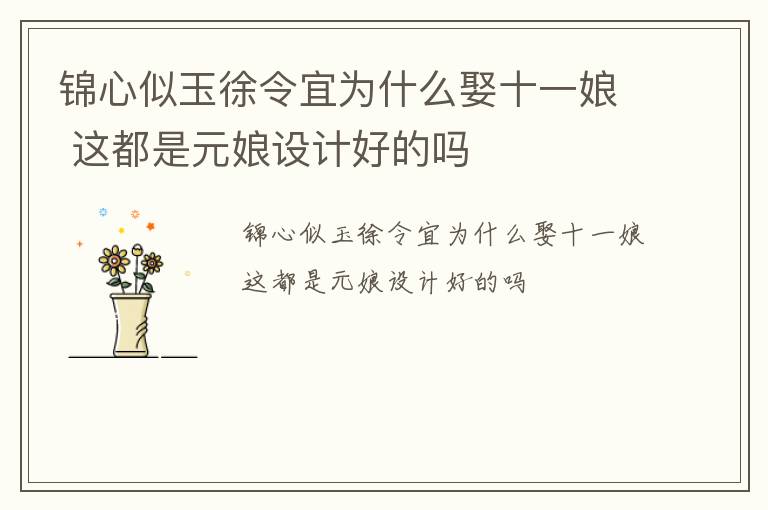 锦心似玉徐令宜为什么娶十一娘 这都是元娘设计好的吗