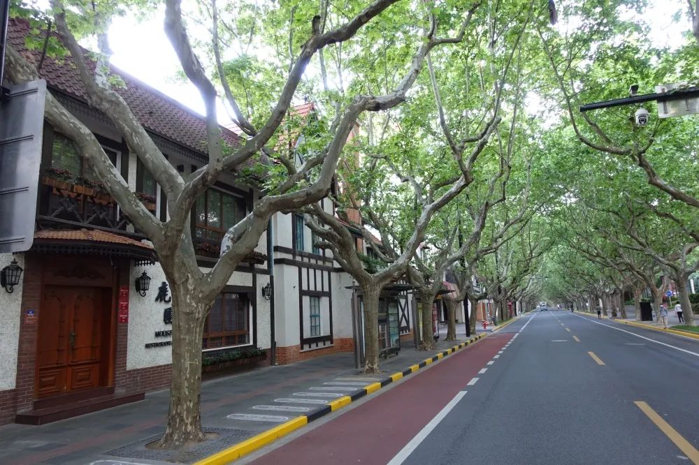 番禺路以西的新华路，图左原逢博酒家早已改换门庭。摄影 姚志康