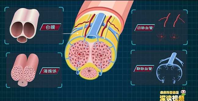 增大膏真的能增大吗?谁用过一个疗程的