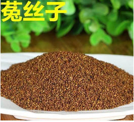 菟丝子泡水喝会壮阳吗